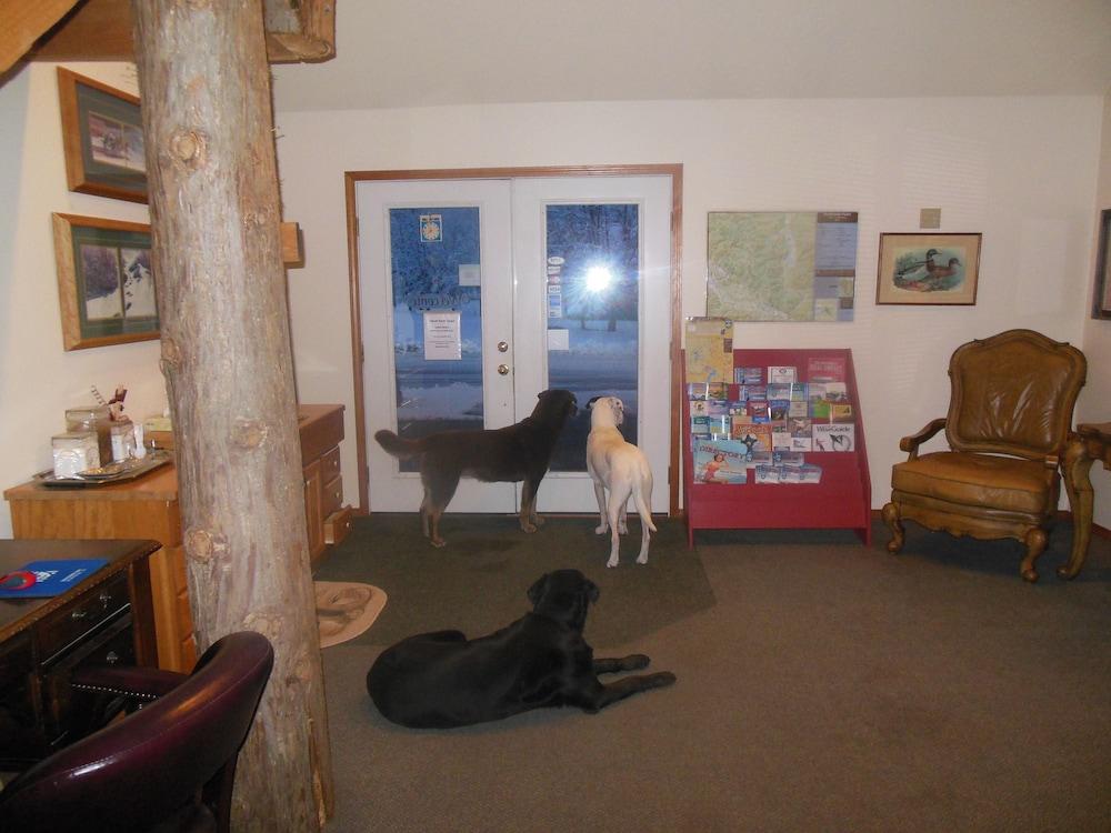 Clark Fork Lodge Zewnętrze zdjęcie